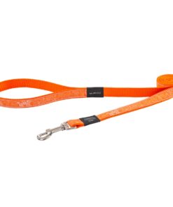 Rogz Fancy Dress Large 20mm Classic Lead - Orange Doodle