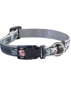 Rogz Fancy Dress Medium 16mm Classic Collar - Coral Island