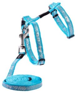 Rogz - SparkleCat 8mm Cat Lead/H-Harness - Turquoise