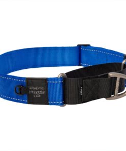 Rogz Utility Extra Extra Large Control Collar Web - Blue