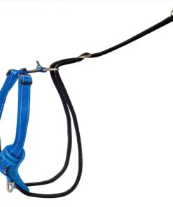 Rogz Utility Extra Large 25mm Stop-Pull Harness - Blue