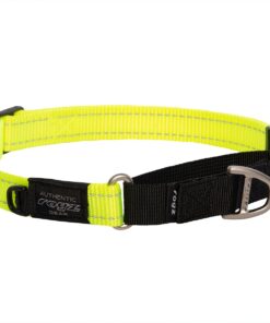 Rogz Utility Large Control Collar Web - Dayglo Yellow