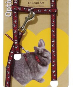 Rosewood Harness and Lead Pawprint Large