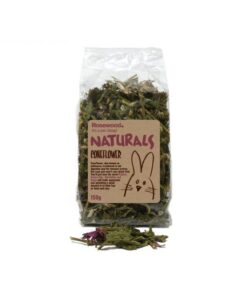 Rosewood Naturals Coneflower