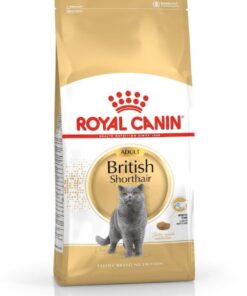 Royal Canin British Shorthair 4kg