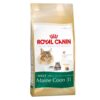 Royal Canin Maine Coon Adult 100 (2kg)