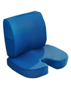 Seat Cushion and Lumbar Support Pillow - Blue