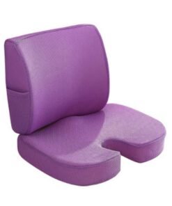 Seat Cushion and Lumbar Support Pillow - Purple