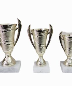 Set of 3 Gold Trophies - NC 008