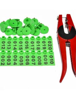 Sheep Ear Tag And Applicator Combo - Green