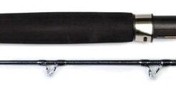 Shimano Beastmaster BMBT70MH Rod