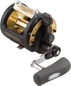 Shimano TLD 30/2 Speed Reel