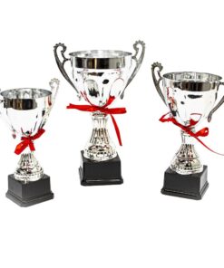 Silver Cup Trophy with Ribbon and Base - 3 Pack Combo