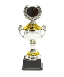 Silver & Gold Cup Trophy with Wreath on Base - Large