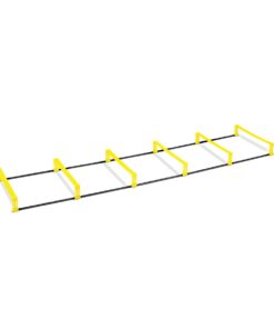 SKLZ Elevation Ladder 7'