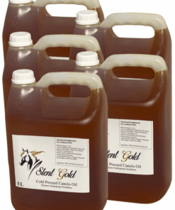 Slent Gold Extra Virgin Non-GMO Canola Oil Supplement for Horses 5L x 5