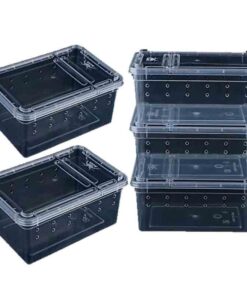 Small Reptile Breeding Box H3 / Cage / Display 5 Set
