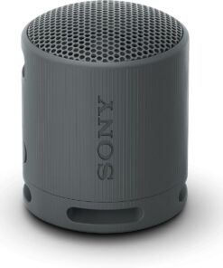Sony XB100 Portable Wireless Bluetooth Speaker