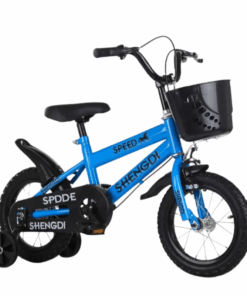 SPDDE Shengdi Kids Bicycle - Blue