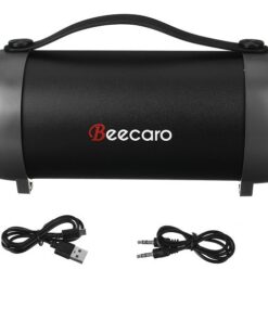 Speaker Outdoor Indoor Boom Beecaro S22E
