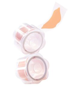 Speed Stick Women's Invisible Dry Powder Fresh Stick - 40g