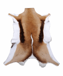 Sringbok Hide Rug