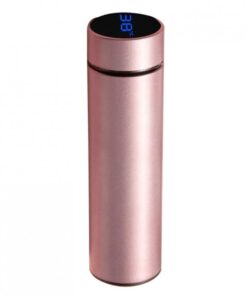 Stainless Steel Led Display Thermos Bottle