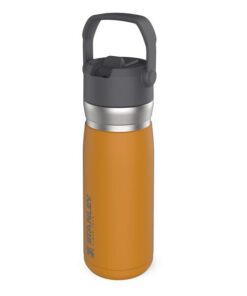 Stanley - IceFlow Flip Straw Water Bottle .65L - Polar - Safron
