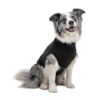Suitical Recovery Suit for Dogs