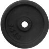 SuperStrength Weight Plate Pair Professional - 2.5KG - M