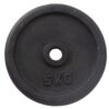 SuperStrength Weight Plate Pair Professional - 5KG - M-L