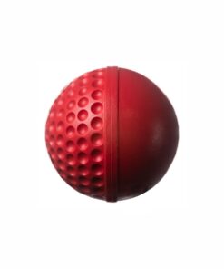 Swinga Cricket Training Ball - Red