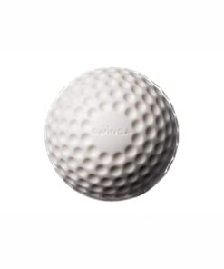 Swinga Cricket Training Ball - White