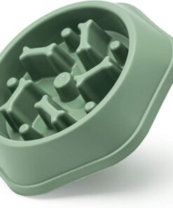 synergy360 Pet Slow Feeder for Healthy Eating Habits - Green