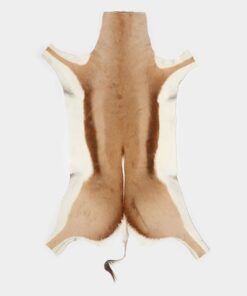 Tanned Springbok Hides/Springbuck Skins - 1-12 Pack