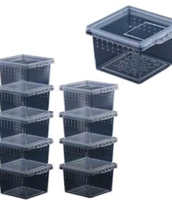 Tarantula Tub 10 Pack