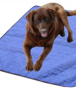 Techniche Hyperkewl Evaporative Cooling Dog Pad - Blue - S