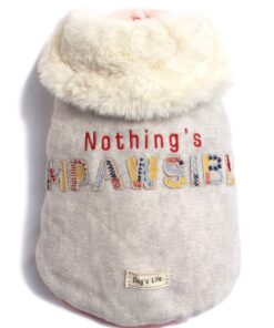 The Impawsible Cape Grey