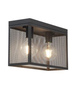The Lighting Warehouse -Ceiling Light Vikander 2lt Black