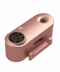 Tickless Mini Dog Rosegold