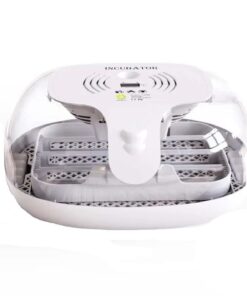 Transparent 16 Egg Incubator