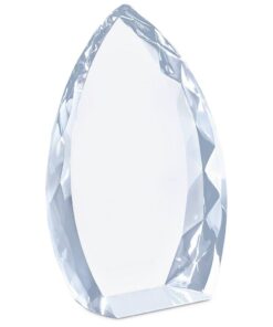 Trident Transparent Award