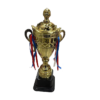 Trophy with Ribbon - 45cm