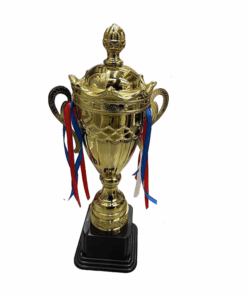 Trophy with Ribbon - 45cm