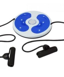 Twisting Waist Disc Body Twister