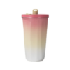 Two-Tone Stainless Steel Double Insulated 600ml Flask with Straw - Pink
