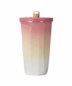 Two-Tone Stainless Steel Double Insulated 600ml Flask with Straw - Pink