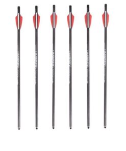 Umarex Air Javelin Carbon Arrows - 6 Pack - 2.2335