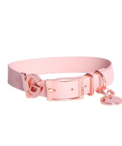 Valgray Splash Proof Adjustable Dog Collar, Blush & Rose Gold - S