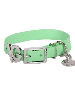 Valgray Splash Proof Adjustable Dog Collar, Pistachio & Silver, Small